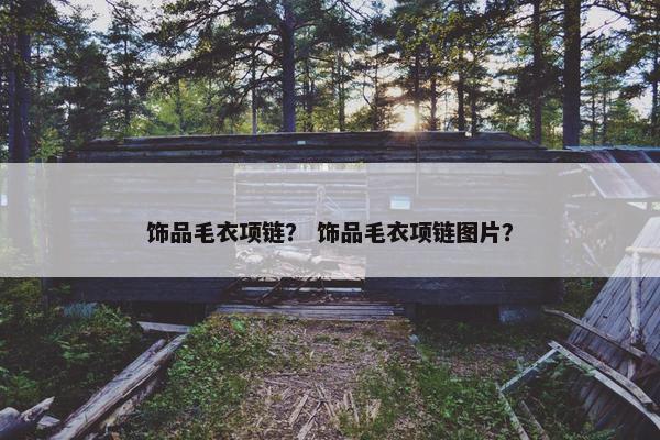饰品毛衣项链？ 饰品毛衣项链图片？