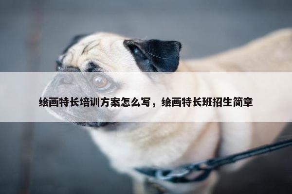 绘画特长培训方案怎么写，绘画特长班招生简章