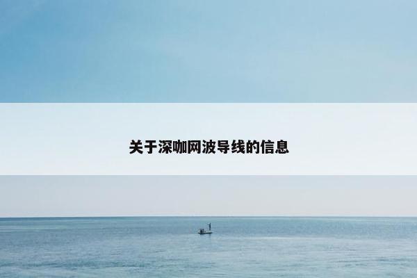 关于深咖网波导线的信息
