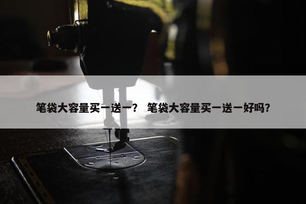 笔袋大容量买一送一？ 笔袋大容量买一送一好吗？