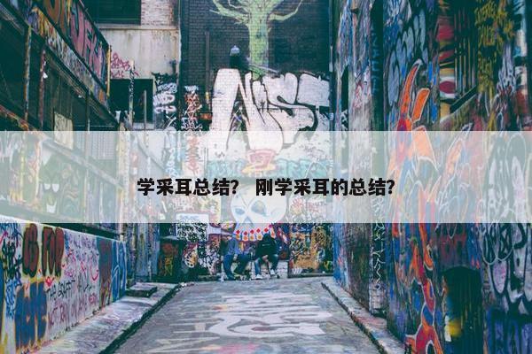 学采耳总结？ 刚学采耳的总结？