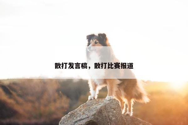 散打发言稿，散打比赛报道