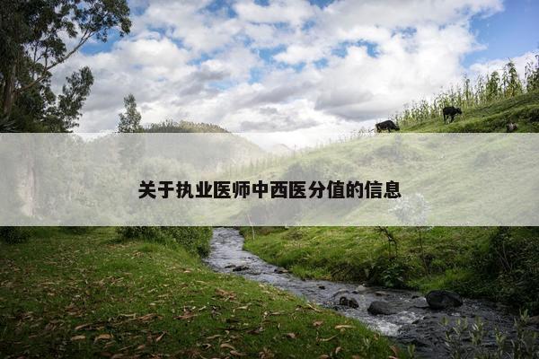 关于执业医师中西医分值的信息