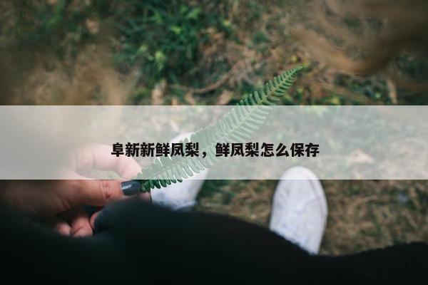 阜新新鲜凤梨，鲜凤梨怎么保存