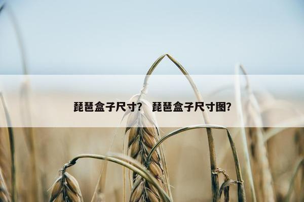 琵琶盒子尺寸？ 琵琶盒子尺寸图？