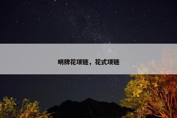 明牌花项链，花式项链