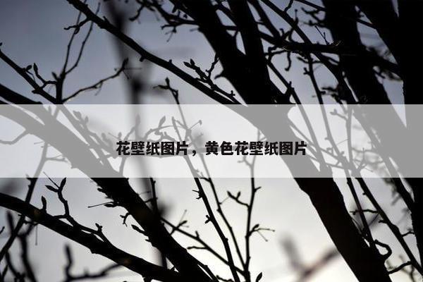 花壁纸图片，黄色花壁纸图片