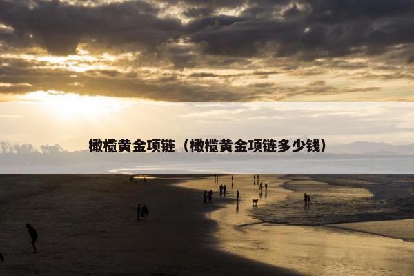橄榄黄金项链（橄榄黄金项链多少钱）