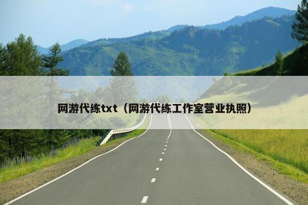网游代练txt（网游代练工作室营业执照）