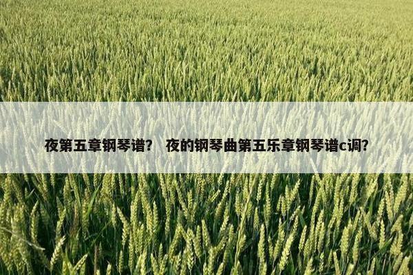 夜第五章钢琴谱？ 夜的钢琴曲第五乐章钢琴谱c调？