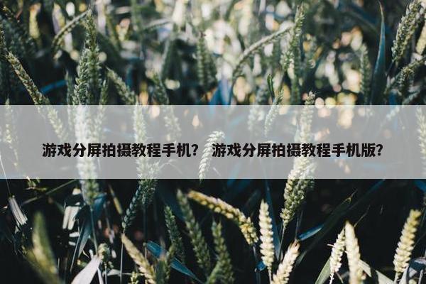 游戏分屏拍摄教程手机？ 游戏分屏拍摄教程手机版？