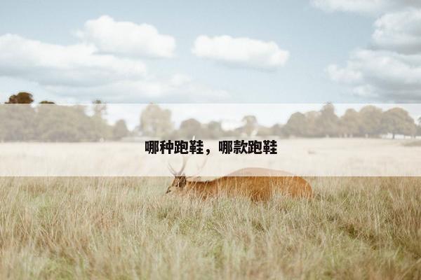 哪种跑鞋，哪款跑鞋