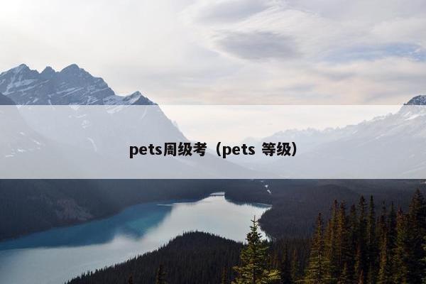 pets周级考（pets 等级）