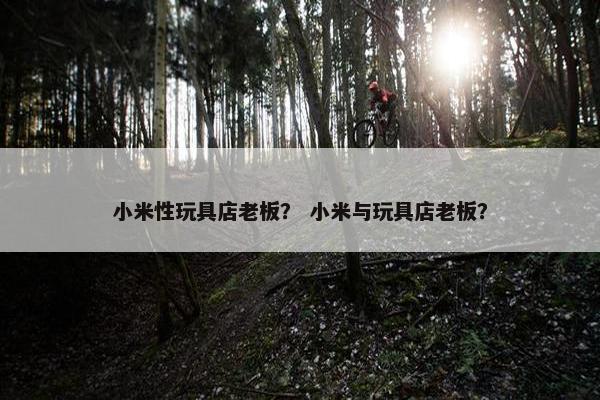 小米性玩具店老板？ 小米与玩具店老板？