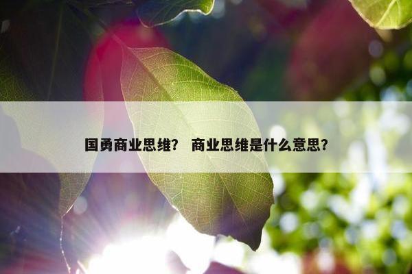 国勇商业思维？ 商业思维是什么意思？