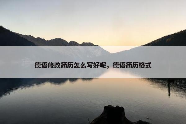 德语修改简历怎么写好呢，德语简历格式