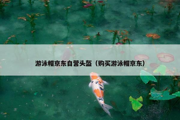 游泳帽京东自营头盔（购买游泳帽京东）