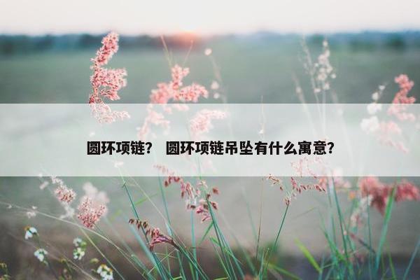圆环项链？ 圆环项链吊坠有什么寓意？