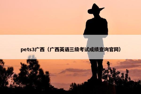 pets3广西（广西英语三级考试成绩查询官网）
