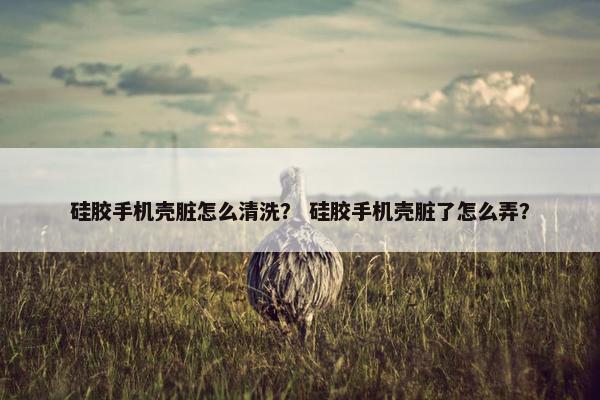 硅胶手机壳脏怎么清洗？ 硅胶手机壳脏了怎么弄？