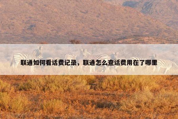 联通如何看话费记录，联通怎么查话费用在了哪里