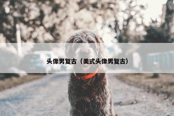 头像男复古（美式头像男复古）