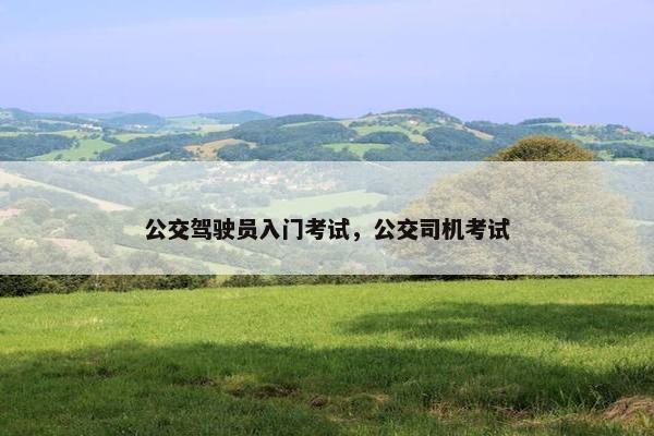 公交驾驶员入门考试，公交司机考试