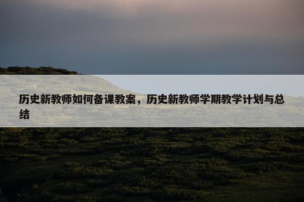 历史新教师如何备课教案，历史新教师学期教学计划与总结