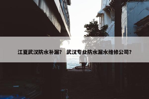 江夏武汉防水补漏？ 武汉专业防水漏水维修公司？