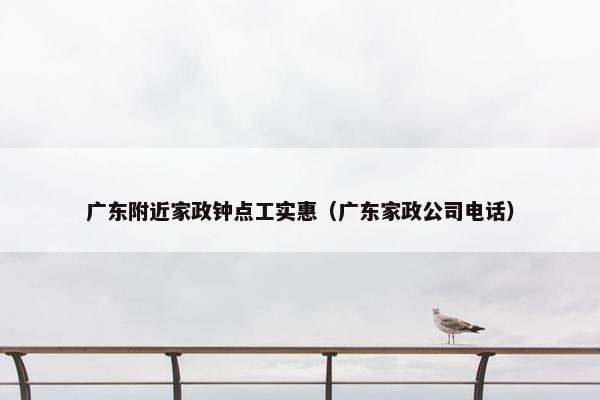 广东附近家政钟点工实惠（广东家政公司电话）
