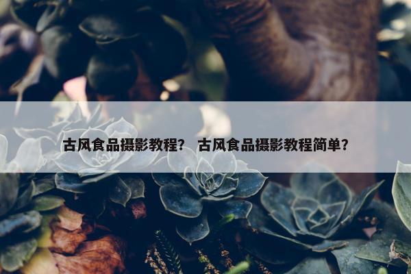 古风食品摄影教程？ 古风食品摄影教程简单？