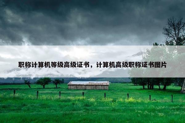 职称计算机等级高级证书，计算机高级职称证书图片