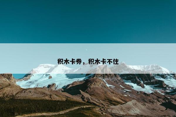 积木卡券，积木卡不住