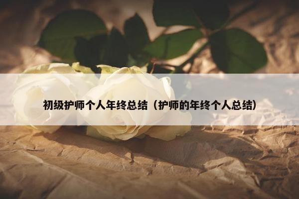 初级护师个人年终总结（护师的年终个人总结）