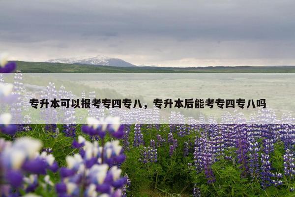 专升本可以报考专四专八，专升本后能考专四专八吗