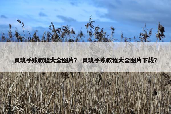 灵魂手账教程大全图片？ 灵魂手账教程大全图片下载？