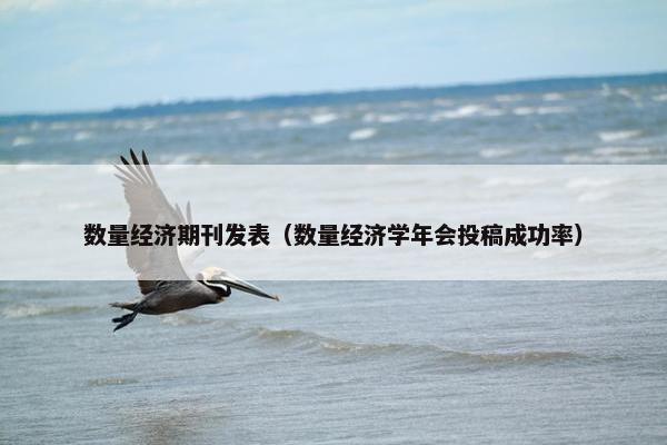 数量经济期刊发表（数量经济学年会投稿成功率）