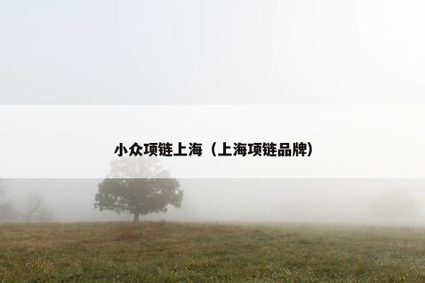 小众项链上海（上海项链品牌）