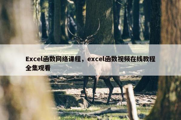 Excel函数网络课程，excel函数视频在线教程全集观看
