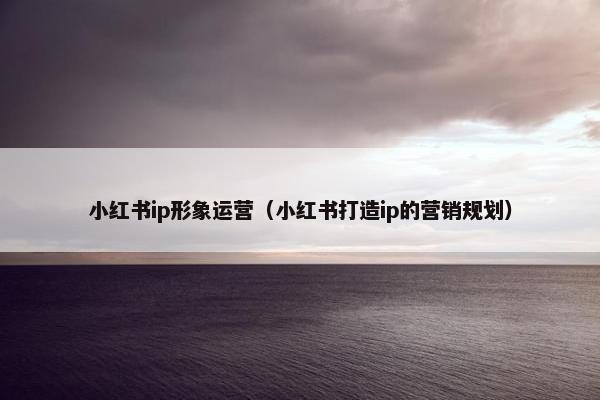 小红书ip形象运营（小红书打造ip的营销规划）