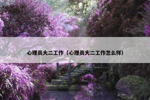 心理员大二工作（心理员大二工作怎么样）
