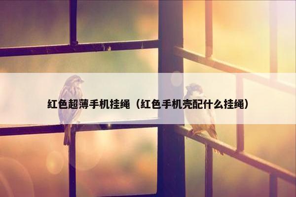 红色超薄手机挂绳（红色手机壳配什么挂绳）
