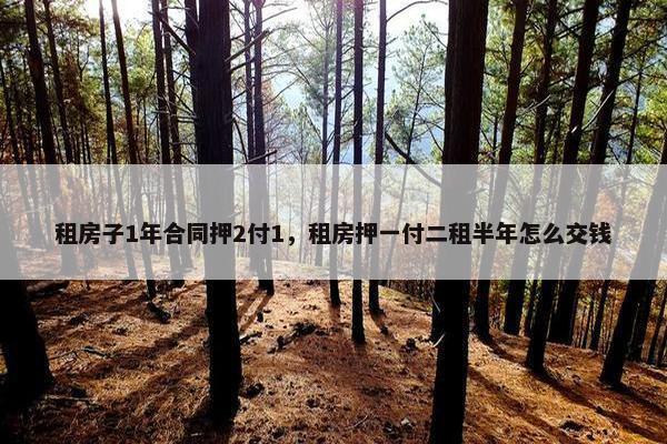 租房子1年合同押2付1，租房押一付二租半年怎么交钱