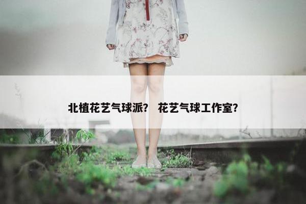 北植花艺气球派？ 花艺气球工作室？