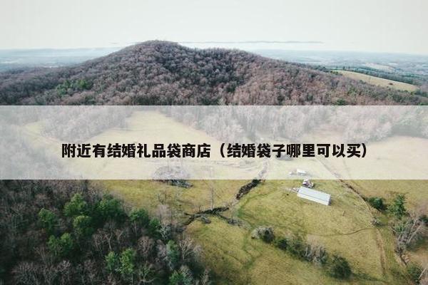 附近有结婚礼品袋商店（结婚袋子哪里可以买）