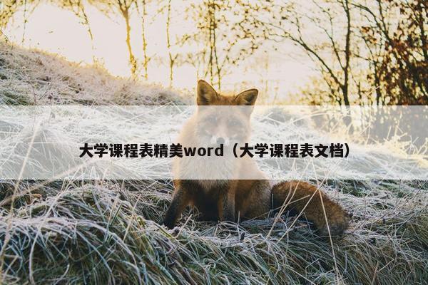 大学课程表精美word（大学课程表文档）