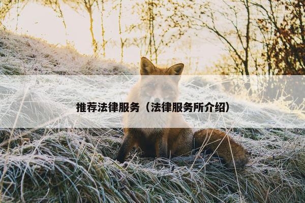 推荐法律服务（法律服务所介绍）