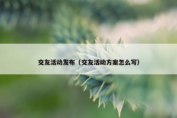 交友活动发布（交友活动方案怎么写）