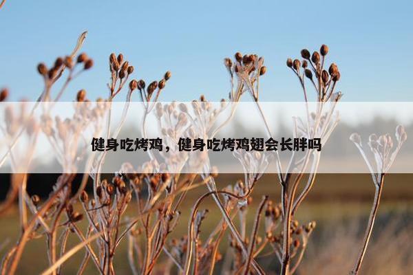 健身吃烤鸡，健身吃烤鸡翅会长胖吗