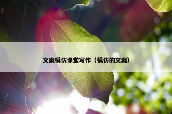 文案模仿课堂写作（模仿的文案）